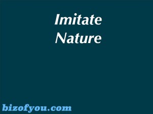 imitate nature
